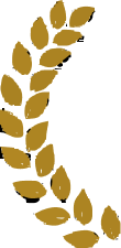 Left Award Icon
