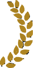 Right Award Icon